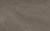 Motoshirt Women Olive